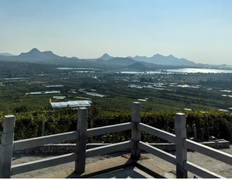 平度大澤山葡萄園引進(jìn)萊恩德土壤肥料檢測(cè)儀， 輕松掌握土壤營(yíng)養(yǎng)